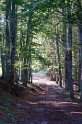 Colle dell'Impiso 3